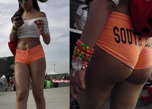 339-prev-428x286