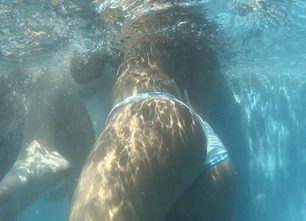 810-prev-pool-thong-candid-underwater-creep-hd-cheeks-arse-voyeur-bikini-tanga-white-girl-507x338