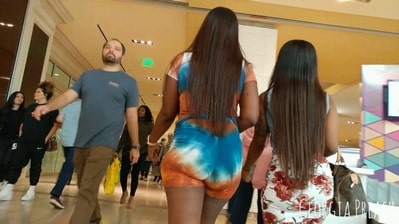 Rainbow Whoalition